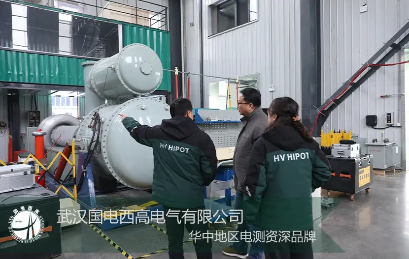 Representatives from Singaporean power integrators visited our company to inspec