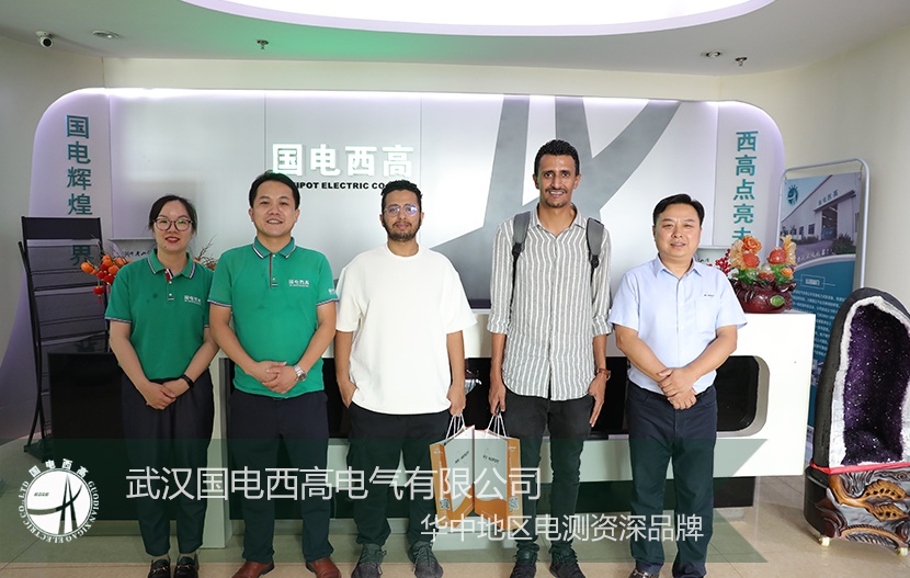 United Arab Emirates customers visit HV Hipot to exchange business experience